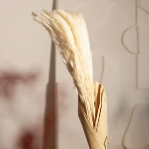 Bukiet Suszek Lanati Naturalnych 75 Cm