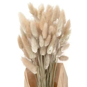 Bukiet Suszek Lanati Naturalnych 40 Cm