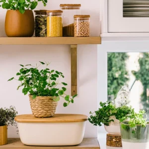 Chlebak Nores Z Bambusowa Pokrywka 37X22X14 Cm