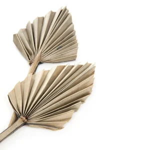 Dyfuzor Roque Waterlily 50 Ml