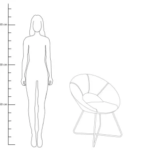 Fotel Jared Welurowy 73X47X84 Cm