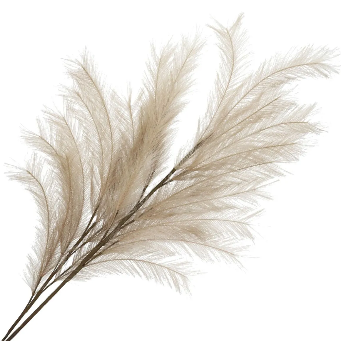 galazka_canne_sztuczna_be_1.webp Galazka Canne Sztuczna Bezowa 100 Cm