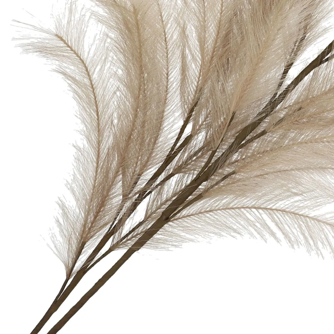 galazka_canne_sztuczna_be_2.webp Galazka Canne Sztuczna Bezowa 100 Cm