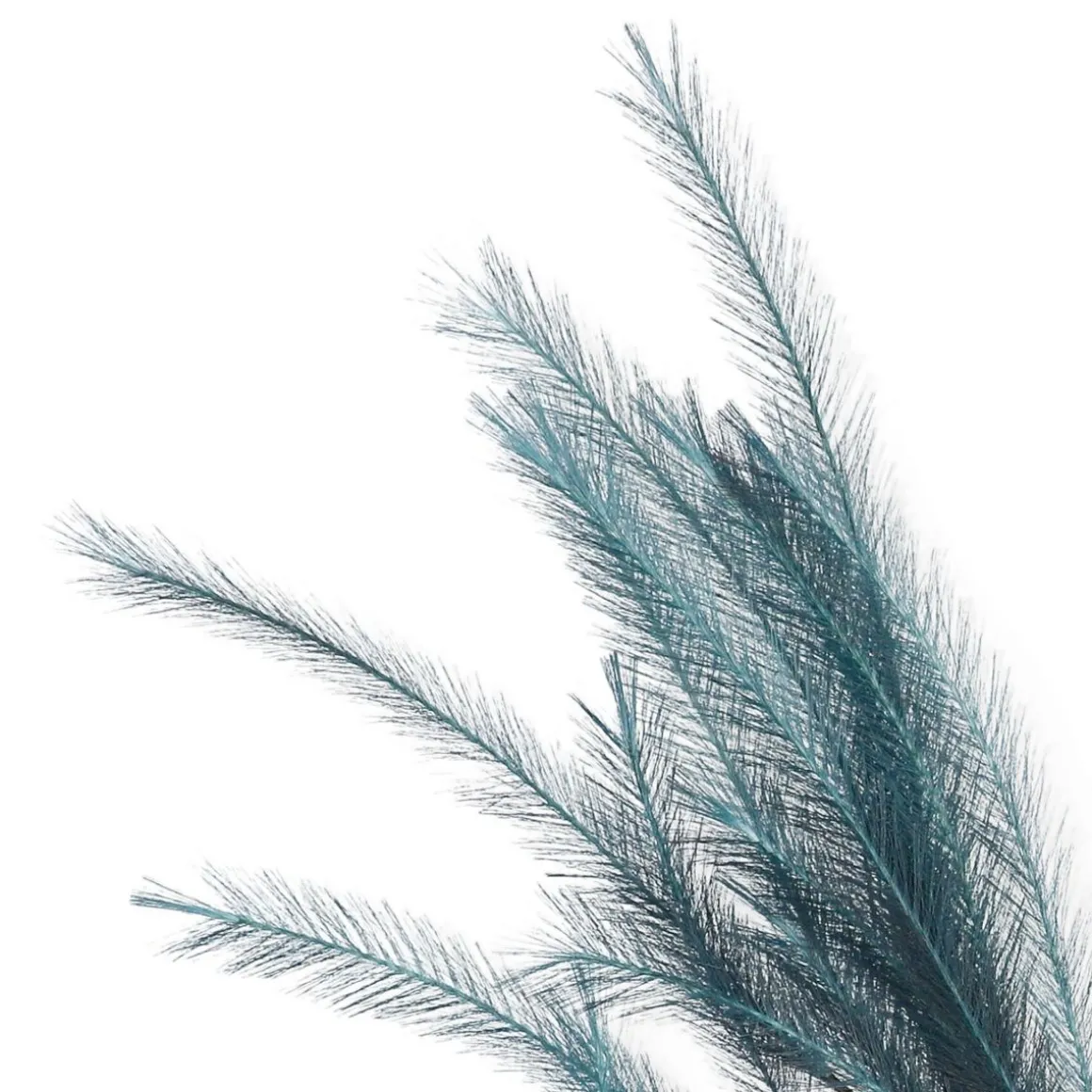 galazka_canne_sztuczna_gr_5.webp Galazka Canne Sztuczna Granatowa 100 Cm