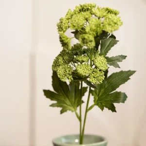 Galazka Sztuczna Anise Anyz Zielona 48 Cm