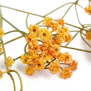 Galazka Sztuczna Cladel Pomaranczowa 61 Cm