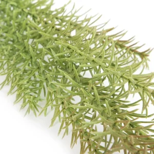 Galazka Sztuczna Klusi Iglak Zielona 71 Cm