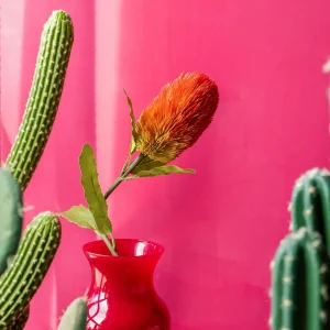 Galazka Sztuczna Malum Banksja 66 Cm