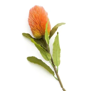 Galazka Sztuczna Malum Banksja 66 Cm