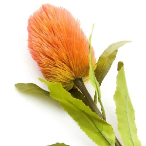 Galazka Sztuczna Malum Banksja 66 Cm