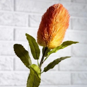 Galazka Sztuczna Malum Banksja 66 Cm