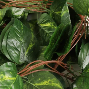 Girlanda Z Lisci Sztuczna Zeleno Epipremnum 240 Cm