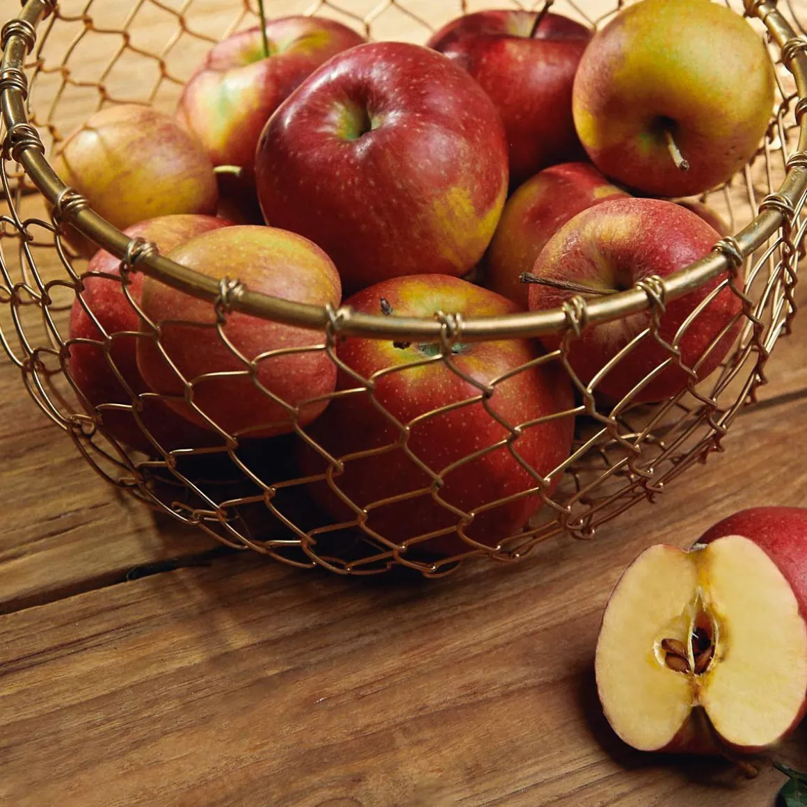 koszyk_rissa_okragly_m_x__2.webp Koszyk Rissa Okragly M 22X11 Cm