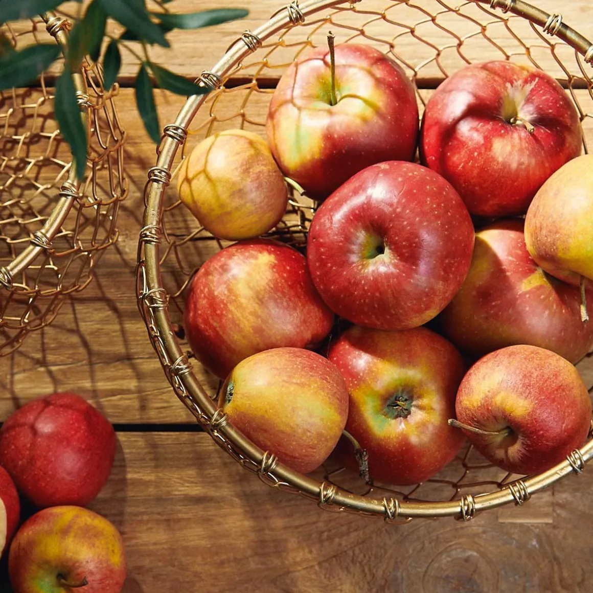 koszyk_rissa_okragly_m_x__3.webp Koszyk Rissa Okragly M 22X11 Cm