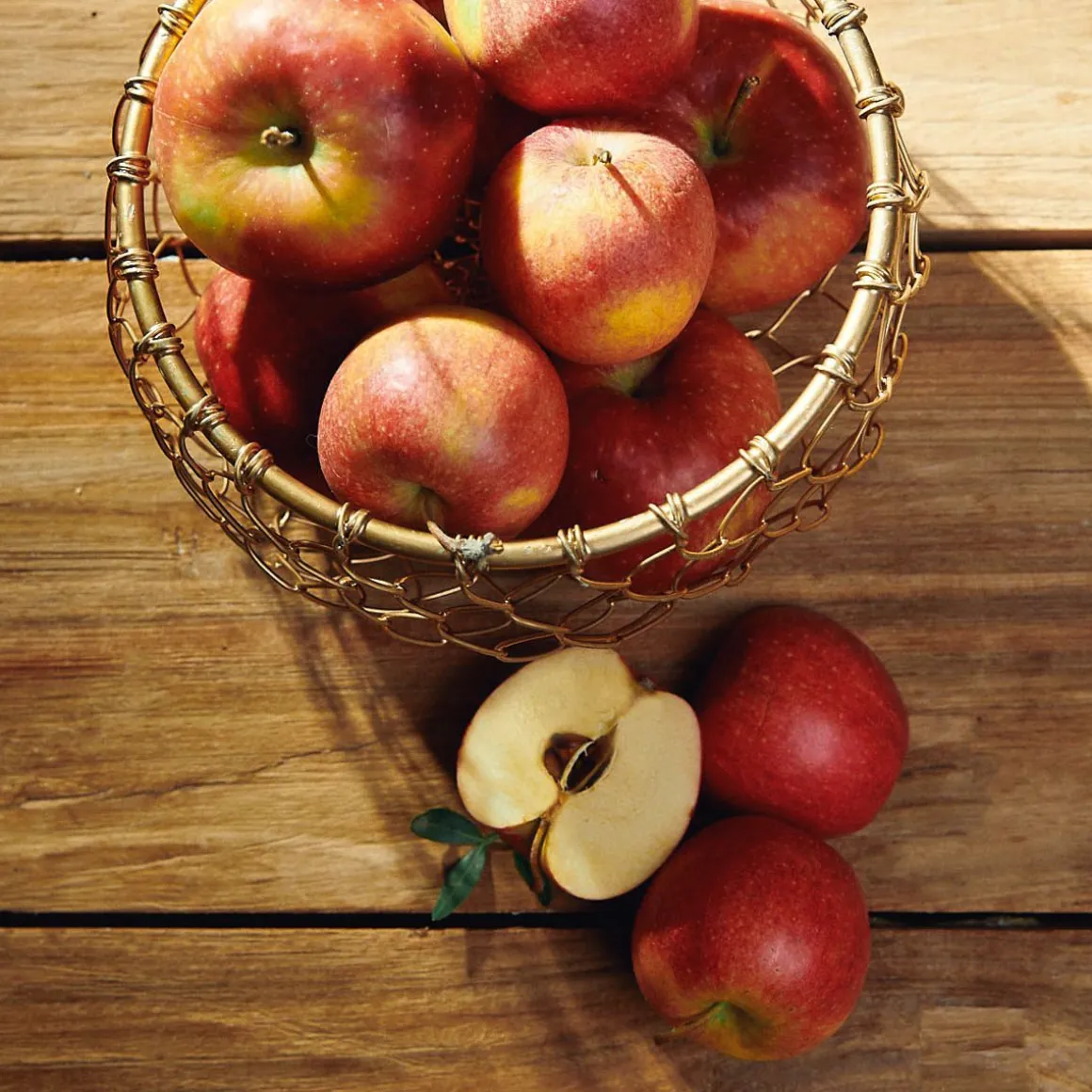 koszyk_rissa_okragly_s_x__2.webp Koszyk Rissa Okragly S 18X9 Cm