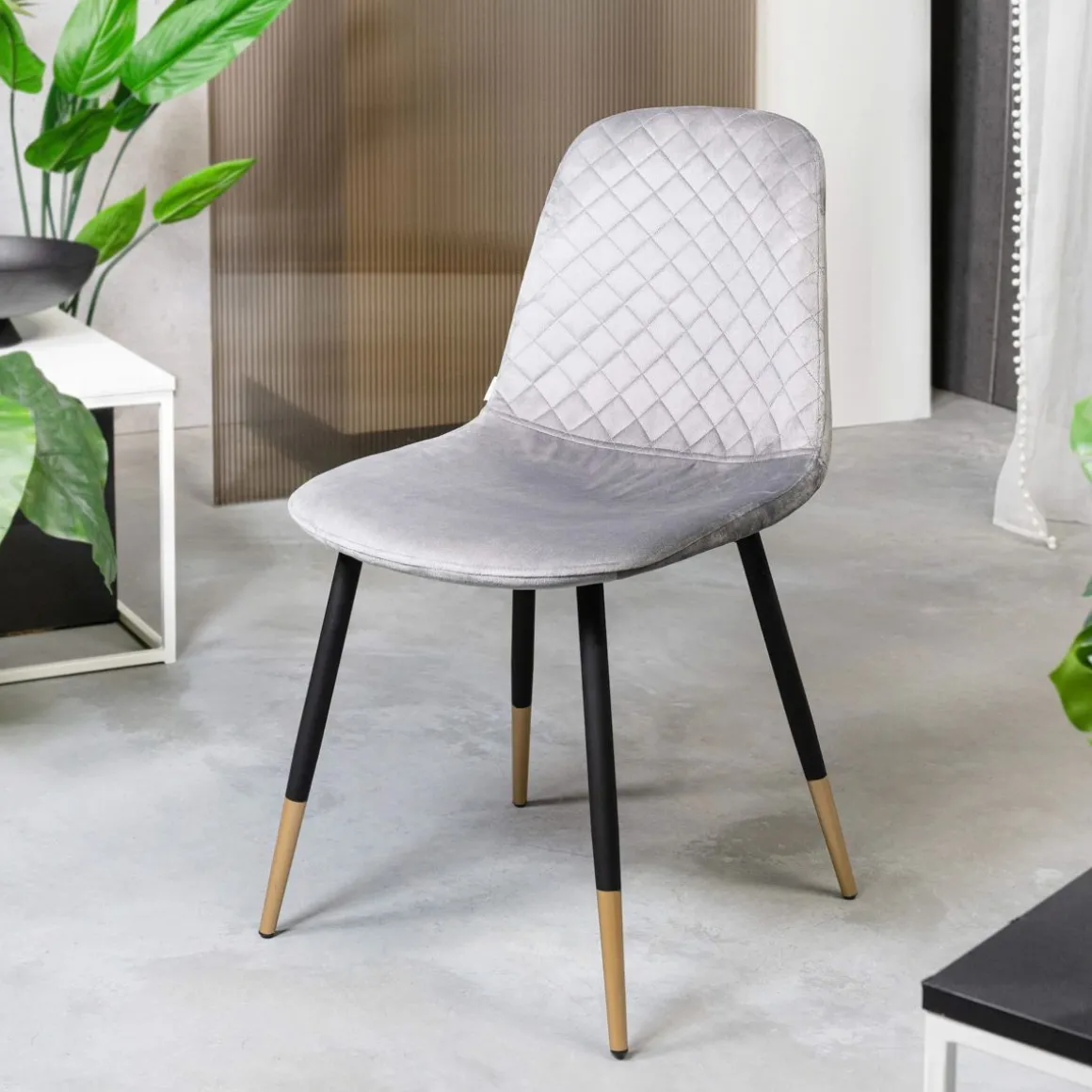 krzeslo_noir_welurowe_sza_0.webp Krzeslo Noir Welurowe Szare 44X52X85Cm