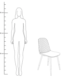 Krzeslo Noir Welurowe Szare 44X52X85Cm