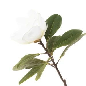 Kwiat Sztuczny Hiya Magnolia 71 Cm
