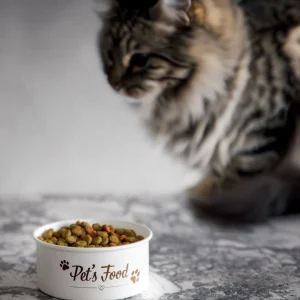 Miska Dingo Na Karme Dla Zwierząt 0,5 L