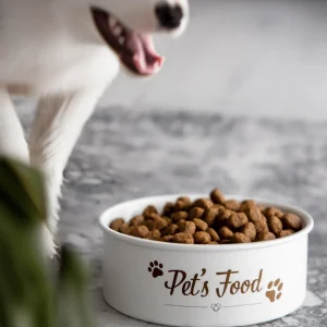 Miska Dingo Na Karme Dla Zwierząt 1,5 L