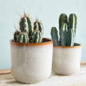 Oslonka Na Doniczke Maya Ceramiczna 17X17X16 Cm