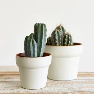 Oslonka Na Doniczke Maya Ceramiczna 15X15X13,5 Cm