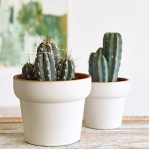 Oslonka Na Doniczke Maya Ceramiczna 19,5X19,5X16 Cm