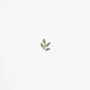 Pościel Hadley Bawelniana W Listki Z Zielona Lamowka 160X200 + 2*50X60 Cm