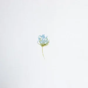 Pościel Sadie Bawelniana W Kwiatki Z Rozowa Lamowka 140X200 Cm + 1*50X60 Cm