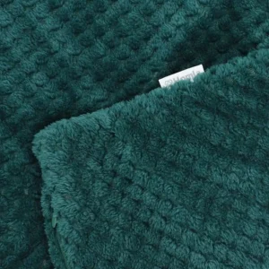 Poszewka Noah Ziarnka Ryzu Zielona 45X45