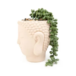 Roslina Sztuczna Esin W Bezowej Donicy 13X12X19 Cm