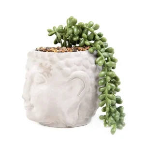 Roslina Sztuczna Esin W Szarej Donicy 19X18X14,5 Cm