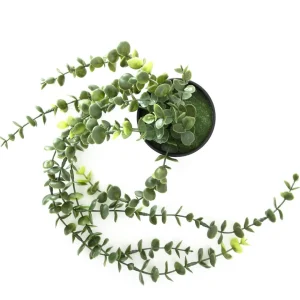 Roslina Sztuczna Eucalyptus W Donicy Wiszaca 50 Cm