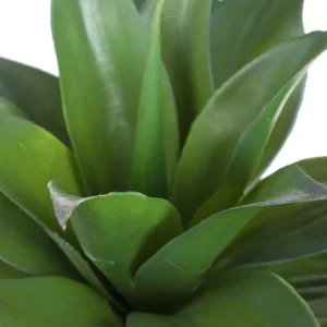 Roslina Sztuczna Semela Agawa 38 Cm