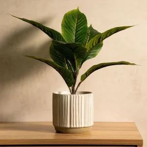 Roslina Sztuczna Semela Difenbachia 36 Cm