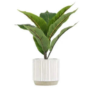 Roslina Sztuczna Semela Difenbachia 36 Cm