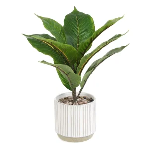 Roslina Sztuczna Semela Difenbachia 36 Cm