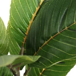 Roslina Sztuczna Semela Difenbachia 36 Cm