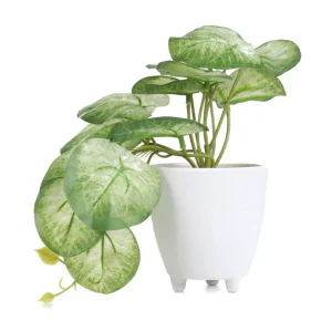 Roslina Sztuczna Semela Epipremnum Zlocista 18 Cm