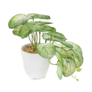 Roslina Sztuczna Semela Epipremnum Zlocista 18 Cm