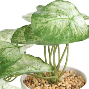 Roslina Sztuczna Semela Epipremnum Zlocista 18 Cm