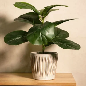 Roslina Sztuczna Semela Fikus 43 Cm