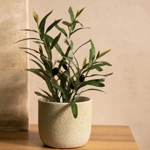 Roslina Sztuczna Semela Krzak Oliwny 35 Cm