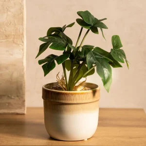 Roslina Sztuczna Semela Monstera 25 Cm