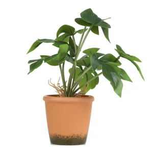 Roslina Sztuczna Semela Monstera 25 Cm