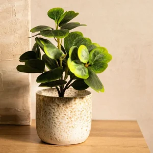 Roslina Sztuczna Semela Peperomia 30 Cm