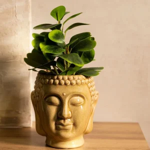 Roslina Sztuczna Semela Peperomia 30 Cm