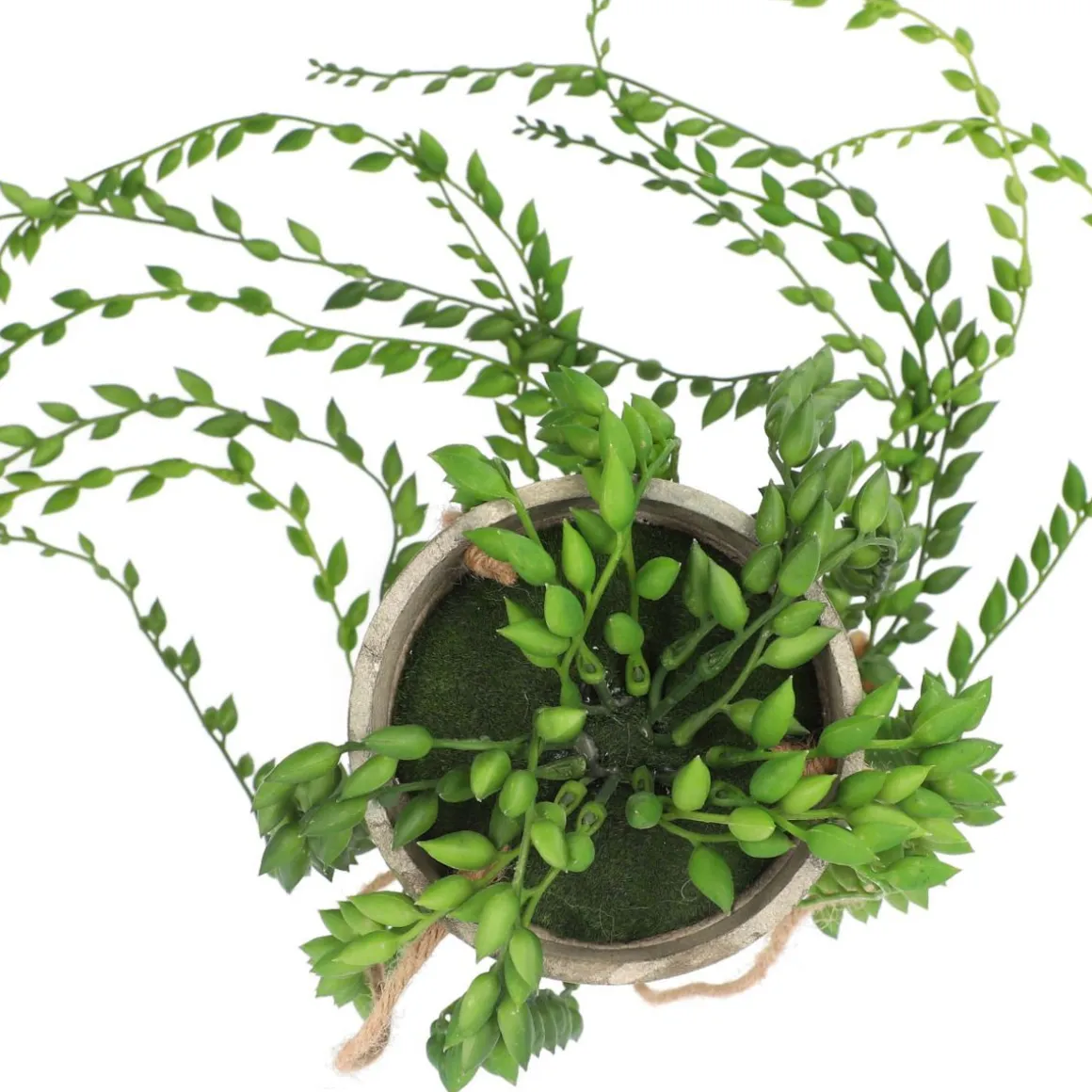 roslina_sztuczna_sencio_w_3.webp Roslina Sztuczna Sencio W Donicy Wiszaca 10X10X54 Cm