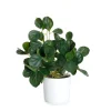 Roslina Sztuczna Tropical Zone Pepperomia 43 Cm