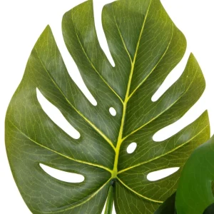 Roslina Sztuczna Tropical Zone Palma W Bialej Donicy 75 Cm